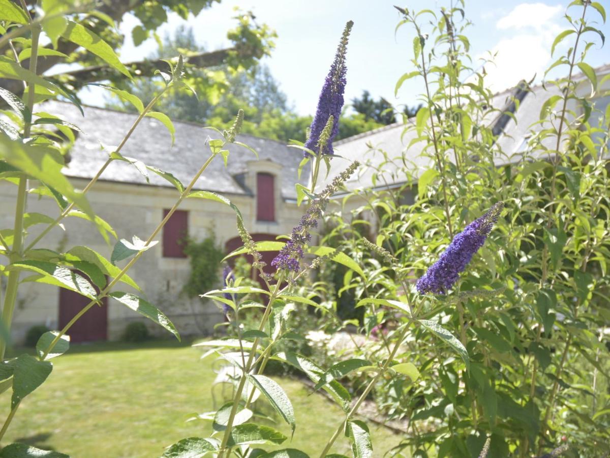La Penesais Villa Beaumont-en-Véron Dış mekan fotoğraf